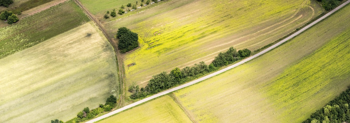 Landwirtschaftlich genutzte Fläche