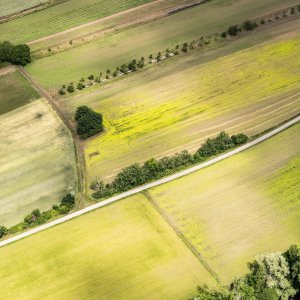 Landwirtschaftlich genutzte Fläche